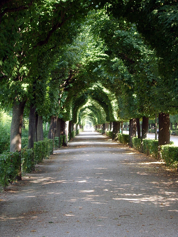 Schönbrunn - ogród